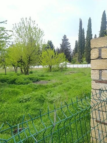 Torpaq sahələrinin satışı: 62 sot, Biznes üçün, Mülkiyyətçi, Kupça (Çıxarış) — 2