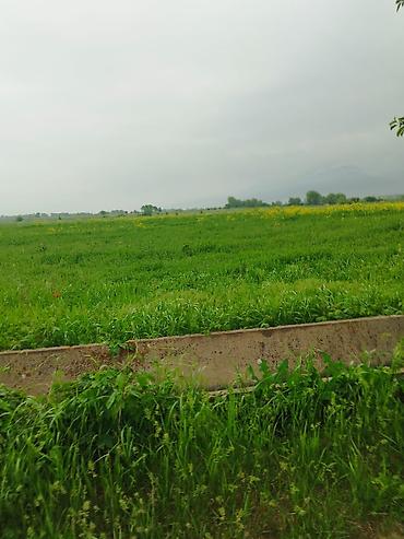село арчалы: 106 соток, Для сельского хозяйства, Договор купли-продажи — 2