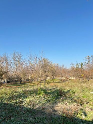 Torpaq sahələrinin satışı: 18 sot, Tikinti, Kupça (Çıxarış) — 13