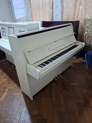 elektron piano: Piano, Belarus, Akustik, Yeni, Pulsuz çatdırılma — 1