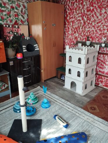 или меняю с доплатой мне: Гостиница для кошечек и маленьких собачек до 5 кг Предлагаем