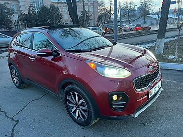 Kia: Kia Sportage: 2019 г., 2.4 л, Автомат, Бензин, Кроссовер — 2
