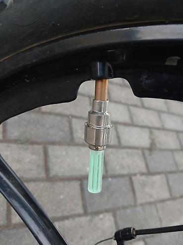 4 teker velosiped: İşlənmiş Şəhər velosipedi 29", sürətlərin sayı: 7, Ünvandan götürmə — 10