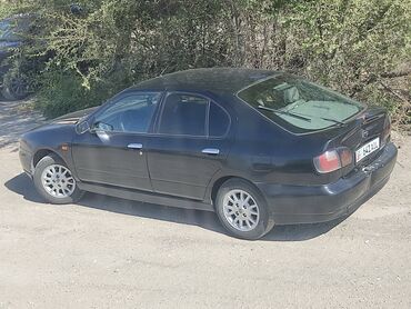 Nissan: Nissan Primera: 2001 г., 1.6 л, Механика, Бензин, Хэтчбэк