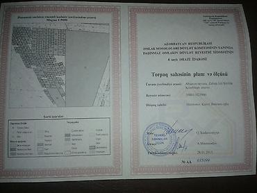 razin kiraye evler heyet: Mülkiyyətçi — 3