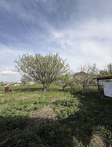 бишк: 8 соток, Для строительства, Красная книга, Договор купли-продажи — 8