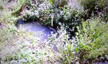 Torpaq sahələrinin satışı: 74 sot, Kənd təsərrüfatı, Mülkiyyətçi, Kupça (Çıxarış) — 3