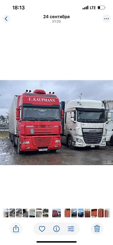 daf даф: Тягач, DAF, 2004 г., Без прицепа — 5