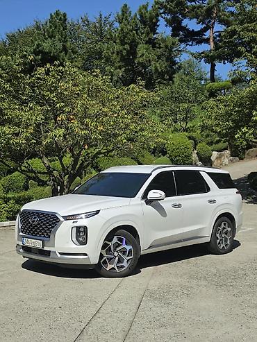 аванте 1.6 газ: Hyundai Palisade: 2021 г., 2.2 л, Автомат, Дизель, Внедорожник — 3