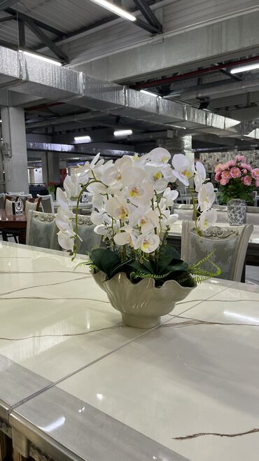 желтый домик масло цена: Элегантная композиция из орхидей 🌸 Изысканное украшение для вашего