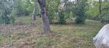 Torpaq sahələrinin satışı: 15 sot, Mülkiyyətçi, Kupça (Çıxarış), Texniki pasport — 5