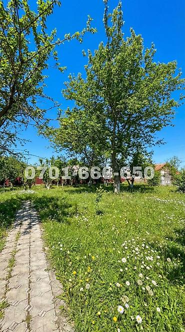 Продажа коттеджей и домов: 🚨🔥 ТОПОВЫЙ УЧАСТОК В КОЙ-ТАШЕ — 20 СОТОК С ДОМОМ! 🔥🚨 📍 ЛУЧШАЯ ЛОКАЦИЯ — 11