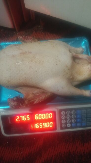 Мясо: 3 кг — 4