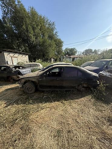 разбор сапог: Авторазбор/склад кузовных и навесных запчастей Предлагаются — 2