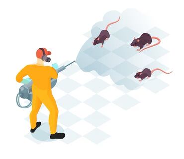 оборудование для химчистки авто: Дезинфекциялоо, дезинсекциялоо, | Канталалар, Бүргөлөр, Таракандар, | Транспорт, Офистер, Батирлер