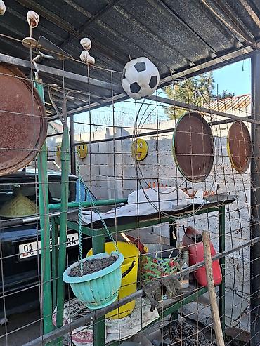 Продажа коттеджей и домов: 3 комнаты, 80 м², 4 соток, Орто-Сай, Собственник — 23