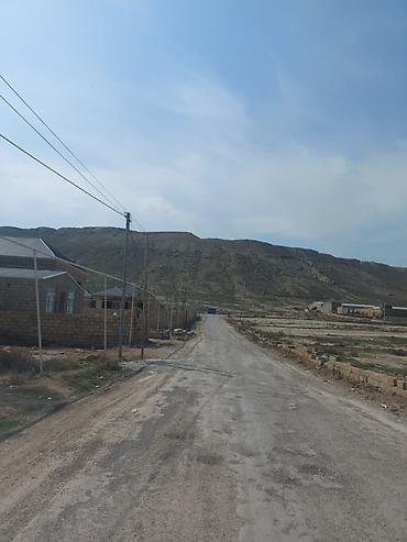 Torpaq: 8 sot, Tikinti, Maklerlər narahat etməsin, Kupça (Çıxarış) — 5