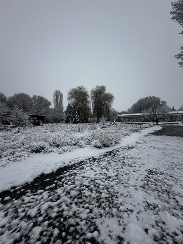 Продажа участков: 127 соток, Для строительства, Красная книга, Тех паспорт, Договор купли-продажи — 9