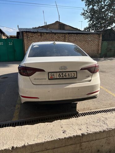 хондай соната: Hyundai Sonata: 2016 г., 2 л, Автомат, Газ, Седан