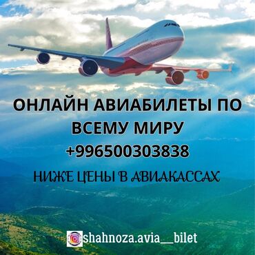 тур по кыргызстану: Авиабилеты авиакасса