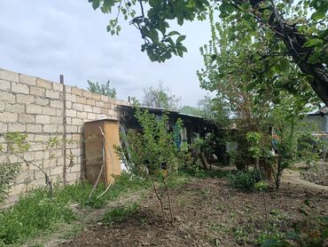 Həyət darvazaları: RT Arxasında körpüdən sağda 2 ci küçədə 2 mərtəbəli 8 otaqlı həyət evi -da lalafo.az — 40 Həyət darvazaları: RT Arxasında körpüdən sağda 2 ci küçədə 2 mərtəbəli 8 otaqlı həyət evi — 40