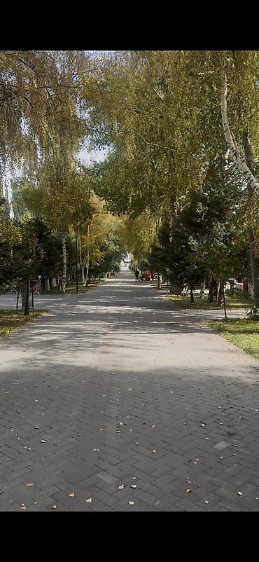 Долгосрочная аренда домов: 87 м², 3 комнаты, Без животных — 11