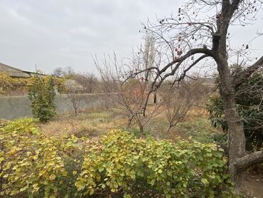 Köhnə tikili: 3 otaqlı rahat mənzil/interyer - Geniş qonaq otağı: divan, 6 nəfərlik — 8