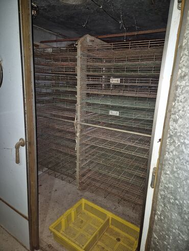 İnkubatorlar: 5000 yumurta, Bütün növ quşlaq üçün — 5