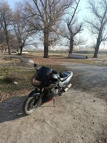 горные мотоцикл: Классический мотоцикл Kawasaki, 500 куб. см, Бензин, Взрослый, Б/у — 1