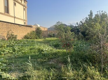 Həyət evləri və villaların satışı: 8 otaq, 200 kv. m, Kredit yoxdur, Təmirsiz — 3