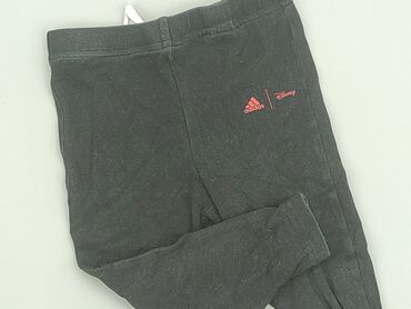 kamizelka asg czarna: Sweatpants, Adidas, 12-18 months, condition - Good