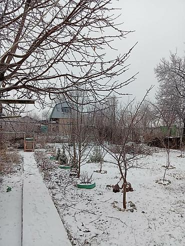 Продажа коттеджей и домов: Продаётся жилой дом с участком и садом участок 5 дом 4х комнаты дача — 2