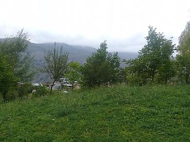 Torpaq sahələrinin satışı: 14 sot, Tikinti, Mülkiyyətçi, Kupça (Çıxarış) — 10