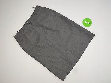 lakier: Classic, Spódnica damska, rozmiar 3XL — 3