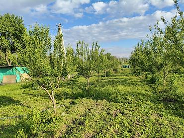 кант участок: 100 соток, Для бизнеса, Генеральная доверенность — 3