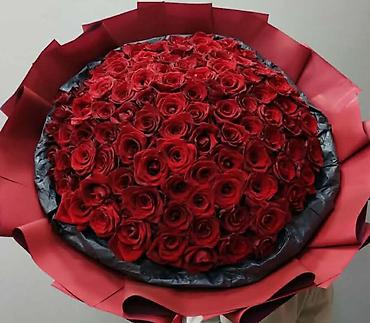 alov gulu: Anthurium (Alov çiçəyi) otaq bitkisi və dekorativ gül kompozisiyaları — 9