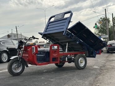 Мотороллеры муравей: Мотороллер муравей Электро, 80 км, 1500 кг и более, Новый — 5