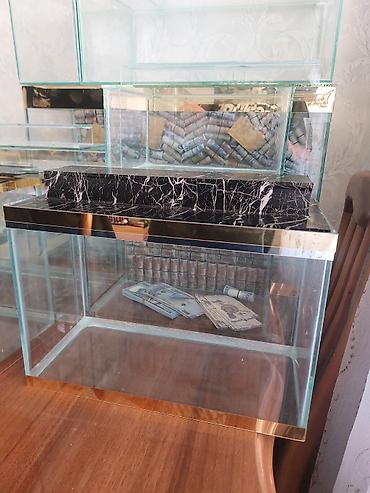 Akvariumlar: Çatdırılma tam pulsuzdu ölçü və dizaynında dəyişiklik etməy olar arxa — 2