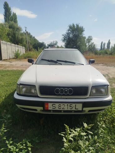 Audi: Audi 80: 1992 г., 2 л, Механика, Бензин, Седан