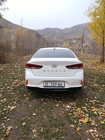 лизинг соната: Hyundai Sonata: 2019 г., 2 л, Автомат, Газ, Седан — 4