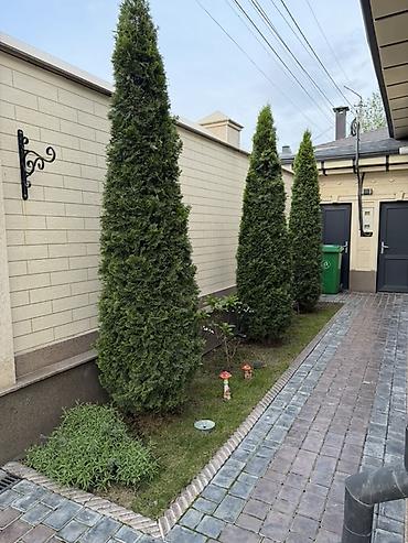 Продажа коттеджей и домов: Современный дом 256 м² с дизайнерским ремонтом в центре города — 1