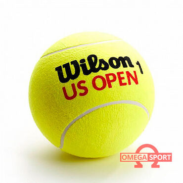волейбольный мяч оригинал: Мяч для большого тенниса Wilson Характеристики: Марка: Wilson