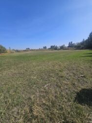 дом на продажу: 100 соток, Айыл чарба үчүн, Сатып алуу-сатуу келишими