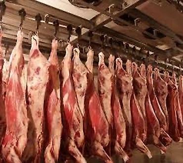 Колбасный цех, Частное лицо : Коровы, быки, Лошади, кони, | Забитый, Круглосуточно, На забой, на мясо — 3