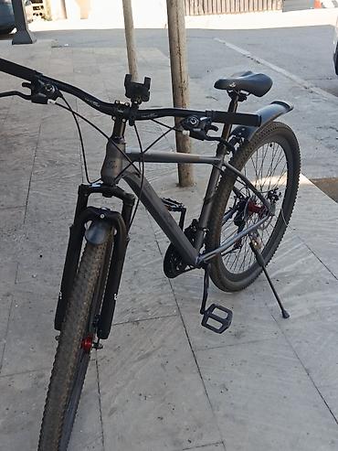velo home: Yeni Şəhər velosipedi Trek, 29", sürətlərin sayı: 7, Ünvandan götürmə, Pulsuz çatdırılma, Ödənişli çatdırılma — 1