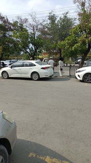 какие машины входят в комфорт яндекс такси в бишкеке: Toyota Corolla: 2019 г., 1.8 л, Вариатор, Гибрид, Седан
