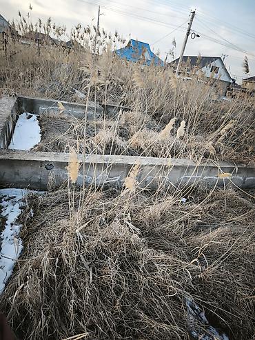 Продажа участков: 4 соток, Для строительства, Красная книга at lalafo.kg — 12 Продажа участков: 4 соток, Для строительства, Красная книга — 12