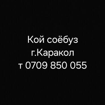 двухъярусные кровати бишкек цена: Кой соёбуз(на выезд), г. Каракол, цена договорная