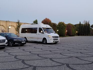 Mercedes-Benz: Mercedes-Benz Sprinter: 2.2 l | 2009 il Mikroavtobus — 8