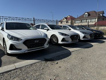 Hyundai: Hyundai Sonata: 2018 г., 2 л, Автомат, Газ, Седан